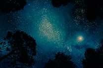 Покупать товары ночью стало выгоднее | Практик Борисов Покупать товары ночью стало выгоднее | Практик Борисов