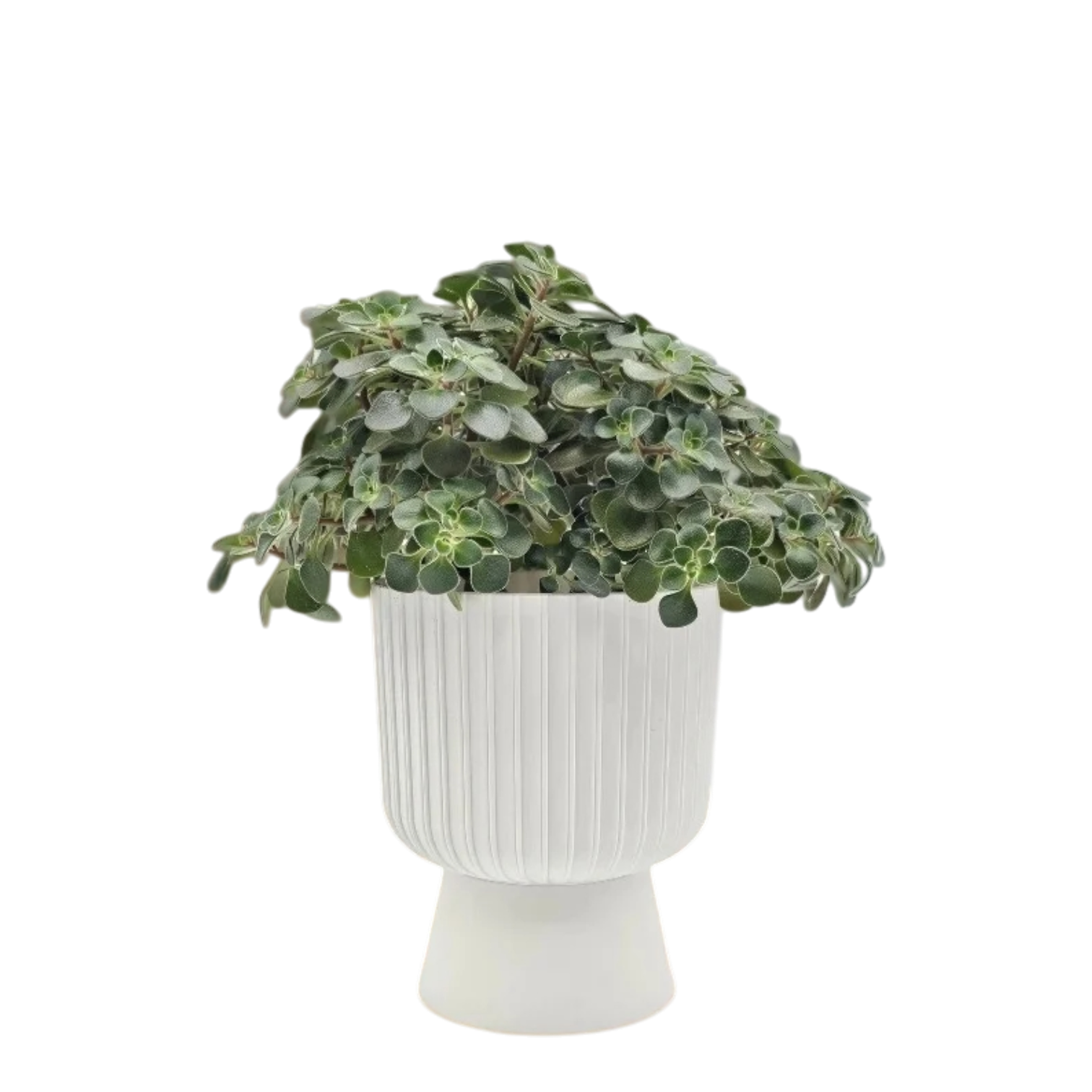 Горшок цветочный Бекер с поддоном 2,8л (Россия)