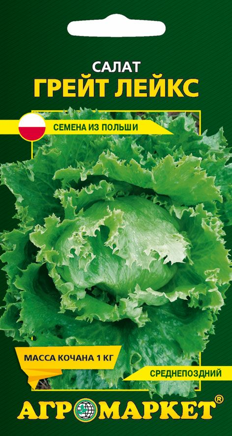 Салат Грейт лэйкс 0.5г (Польша)