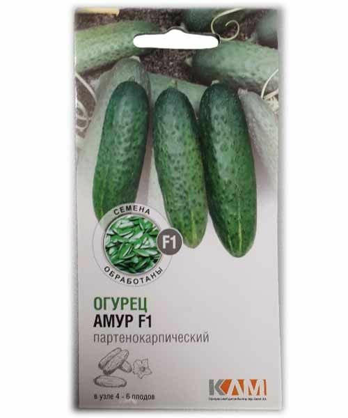 Огурец Амур F1 10шт (Нидерланды)