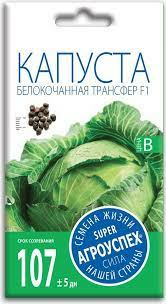 Капуста белокочанная ТРАНСФЕР F1 (Россия)