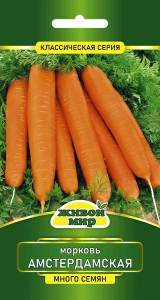 Морковь Амстердамская (W. Legutko) 6г (Беларусь)