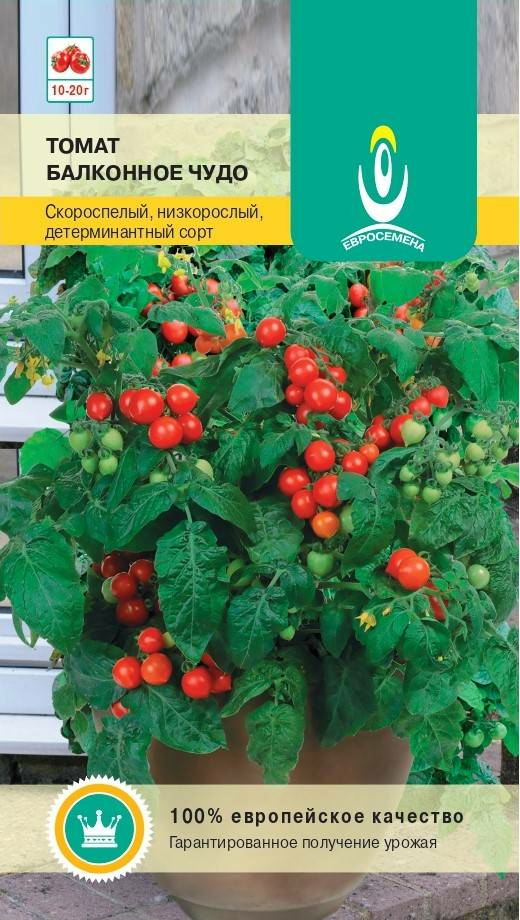 Томат Балконное чудо 0,2 г детерминантный скороспелый (Германия)