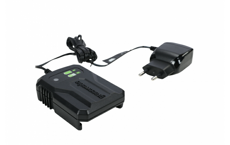 Зарядное устройство Greenworks 40V G40UCM2M 2A (Китай)