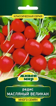 Редис Масляный великан (W. Legutko) 10г семена (Беларусь)