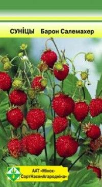 Земляника Барон Солемахер 100 шт. (Беларусь)