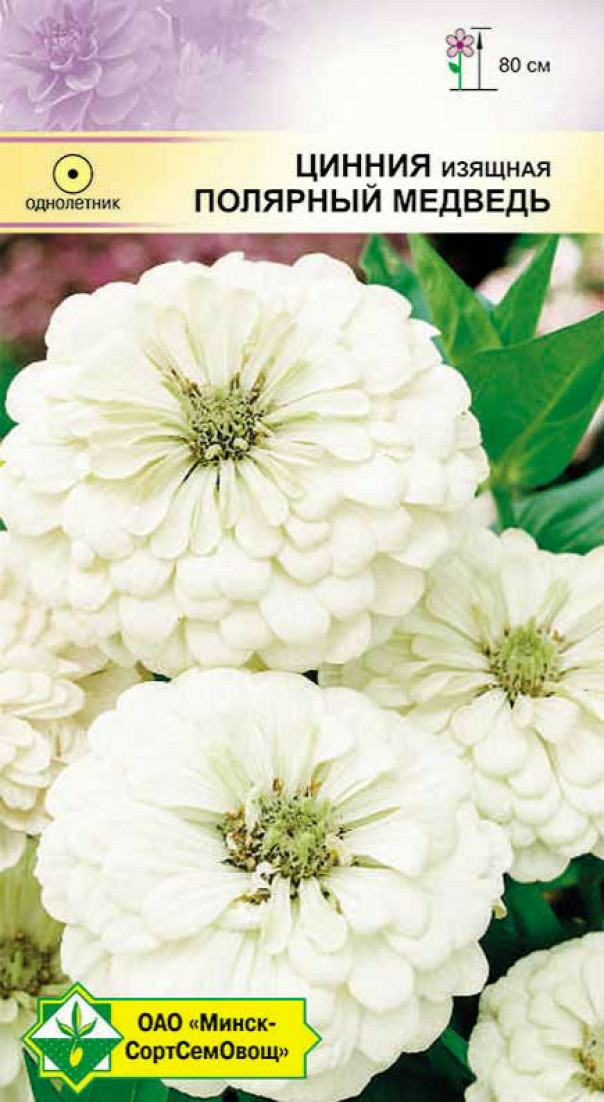 Цинния изящная Георгиноцветная Полярный медведь 0.5г (Германия)