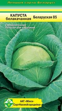 Капуста Белорусская 85 б/к, 0.5г (Беларусь)