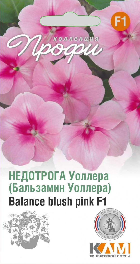 Бальзамин Уоллера Баланце Блуш Пинк F1 10 шт (Италия)