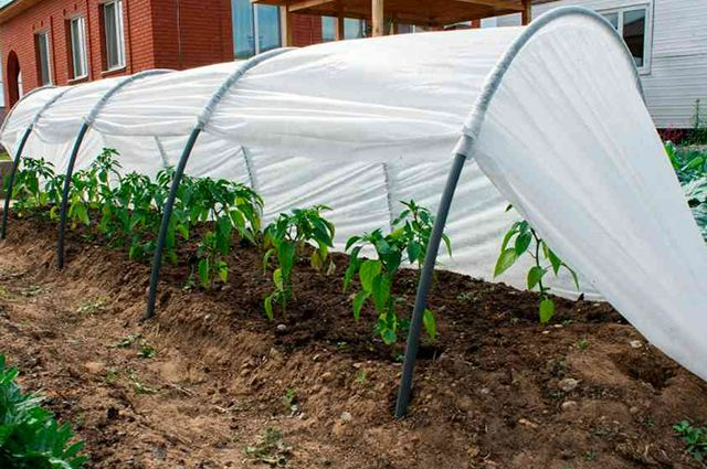 Укрывные материалы для теплиц и парников Укрывные материалы для теплиц и парников