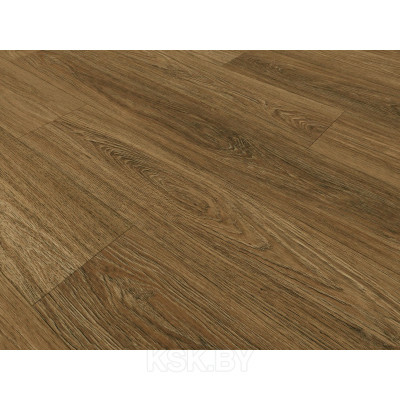 Дуб летний SPC 2209 (Россия) в Борисове