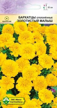Бархатцы откл, Золотистый малыш 0.3г (Беларусь)