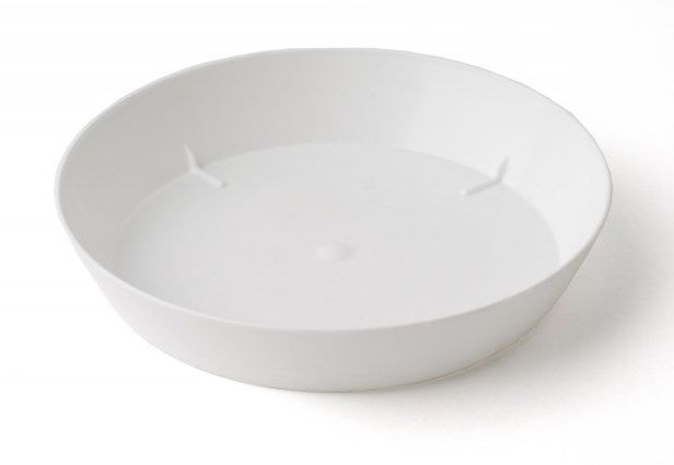 Поддонник (Россия)