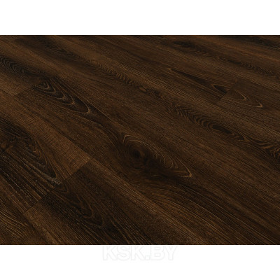 Дуб африканский SPC 2210 (Россия) в Борисове