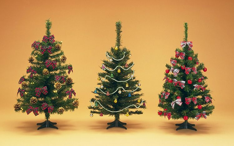 Как нарядить елку | Практик Борисов