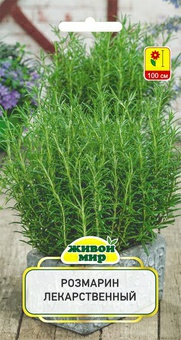 Розмарин лекарственный (W. Legutko) 0,05 г (Беларусь)