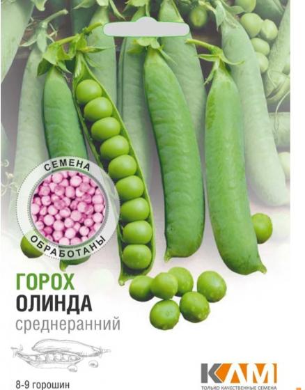 Горох Олинда (Беларусь)