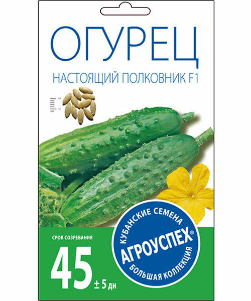 Огурец НАСТОЯЩИЙ ПОЛКОВНИК F1 ранний 10 шт (Россия)