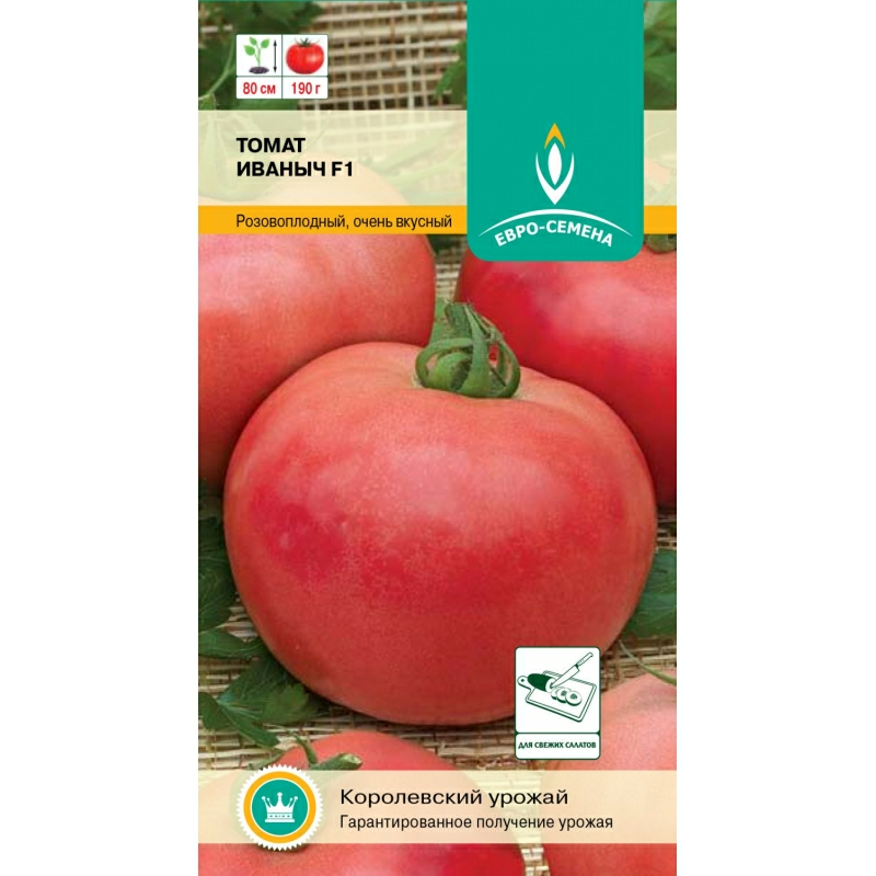 Томат Иваныч F1 детерменантный низкорослый (Россия)