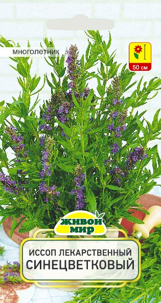 Иссоп лекарственный Синецветковый W. Legutko 0,5г (Беларусь)