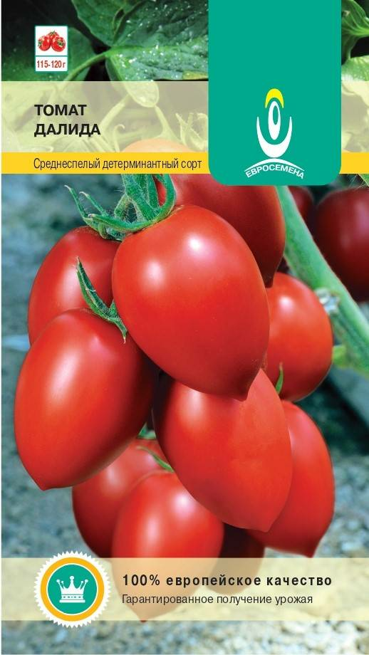 Томат Далида 0,2г детерминантный гибрид среднеспелый (Германия)