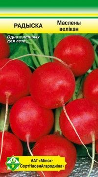 Редис Масляный великан 3г (Беларусь)