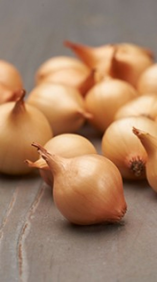 Лук севок Штуттгартер риз (Нидерланды)