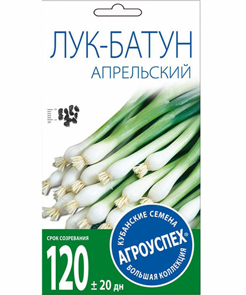 Лук-батун Апрельский 1г (Россия)