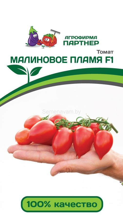 Томат МАЛИНОВОЕ ПЛАМЯ F1 (10шт) (Россия)