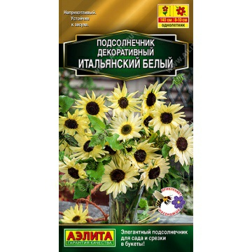 Подсолнечник Итальянский белый (Россия)