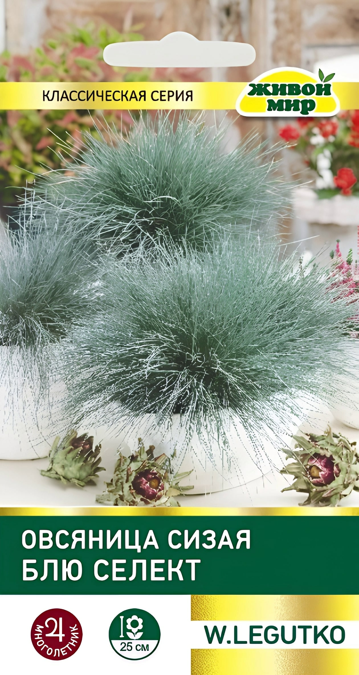 Овсяница сизая Блю селект W. Legutko 0,2 г (Беларусь)