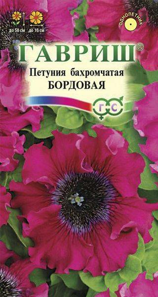 Петуния Бордовая бахромчатая пробирка (Россия)