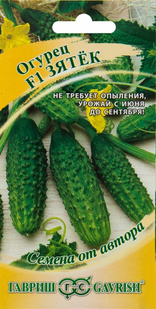 Огурец Зятек F1|купить Практик Борисов