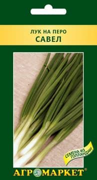 Лук на перо Савел 200шт (Польша) Лук на перо Савел 200шт (Польша)