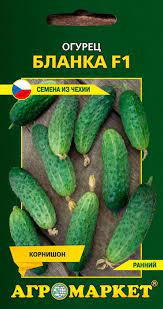 Огурец Бланка F1 10шт (Чехия)