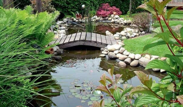  Как построить пруд на своём участке | Строймаркет Практик в Борисове