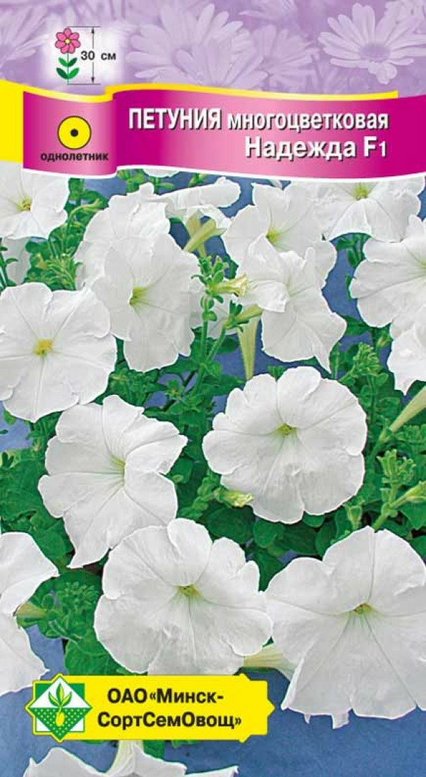 Петуния гибридная многоцветковая Надежда F1 (Чехия)