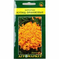 Бархатцы «Купид оранжевые» 0.5 г.(Польша)