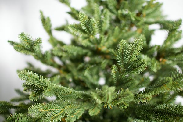 Как выбрать искусственную елку? | Практик Борисов Как выбрать искусственную елку? | Практик Борисов