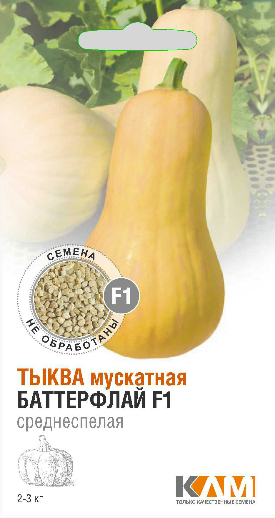 Тыква мускатная Баттерфлай F1 5шт (Италия)