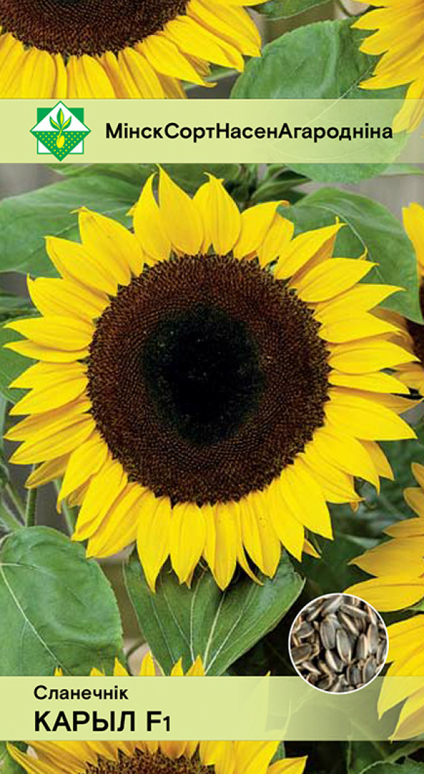 Подсолнечник Корил F1 5г (Польша)