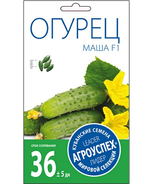 Огурец Маша F1 ранний корнишон (Россия)