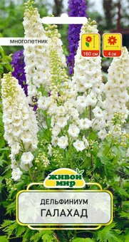 Дельфиниум Галахад (W. Legutko) 0,1 г (Беларусь)
