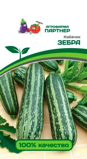 Кабачок ЗЕБРА (10шт) (Россия)