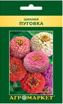 Цинния «Пуговка», 1 г. (Польша) Цинния «Пуговка», 1 г. (Польша)