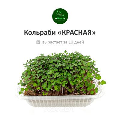 Набор для выращивания микрозели 3 коврика + Брокколи, Горох, Кольраби (Россия)