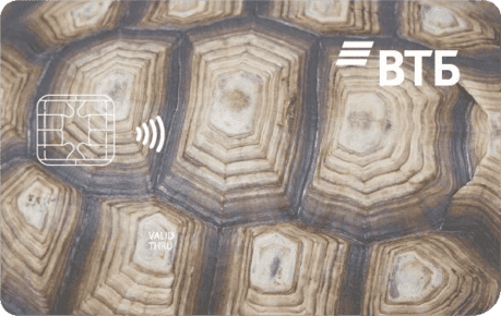 Черепаха – рассрочка 8 месяцев