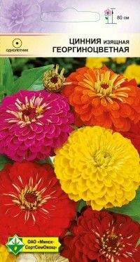 Цинния изящная Георгиноцветная 0.5г (Беларусь)