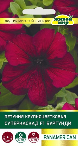 Петуния Суперкаскад Бургунди крупноцветная PanAmerican Seed (Беларусь)