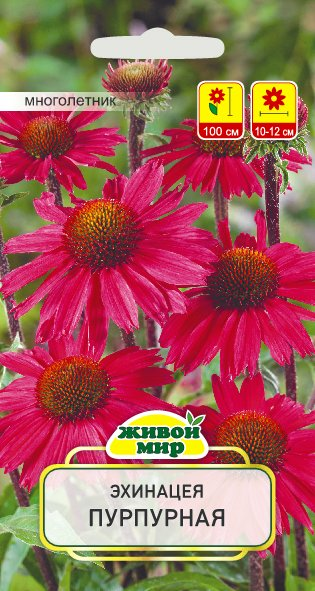 Эхинацея пурпурная W. Legutko 0,5 г (Беларусь)